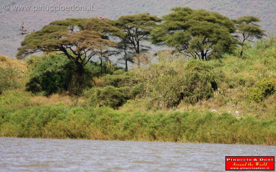 Ethiopia - Lago Chamo - 64.jpg